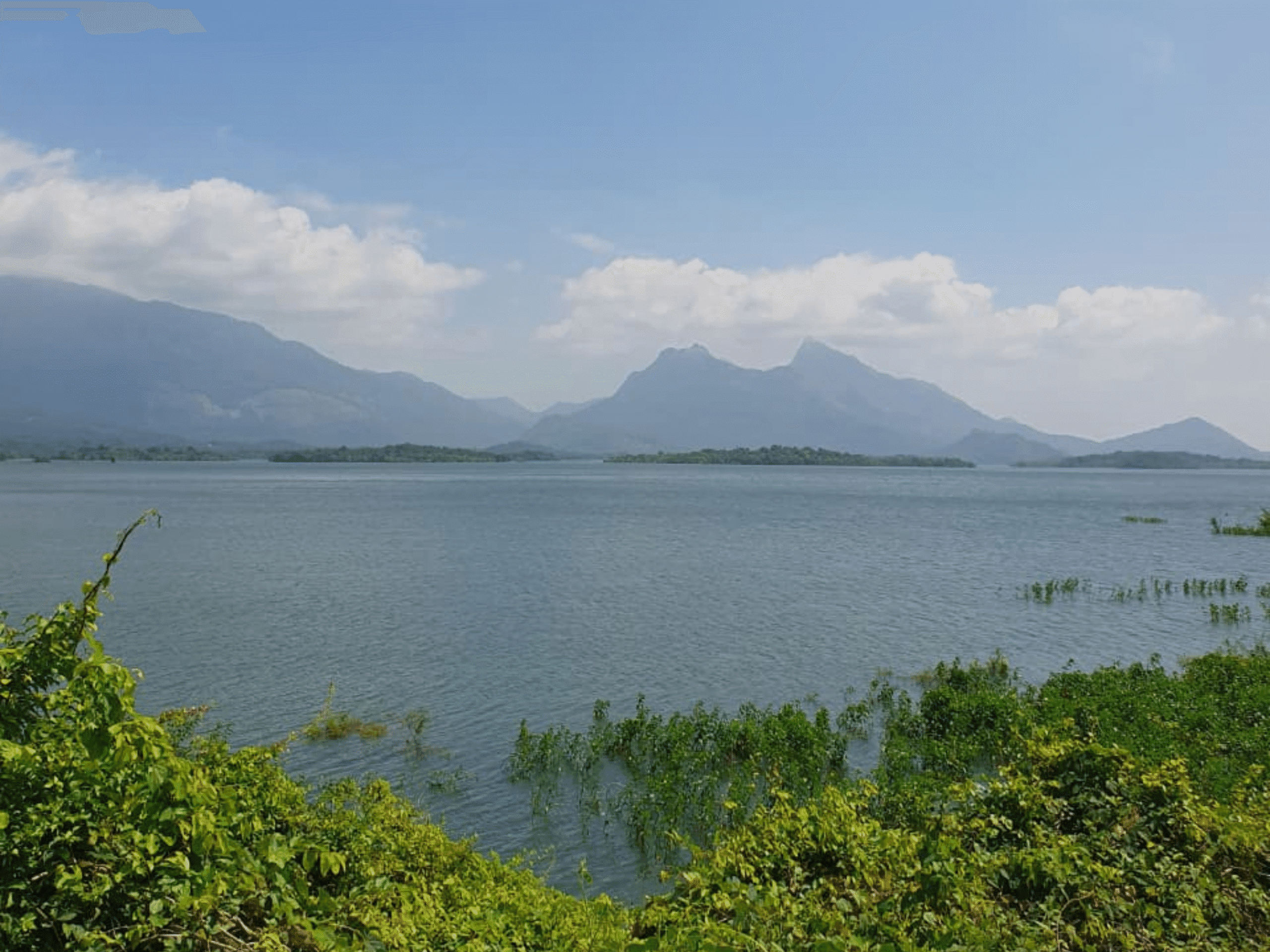 Untitled design (38)