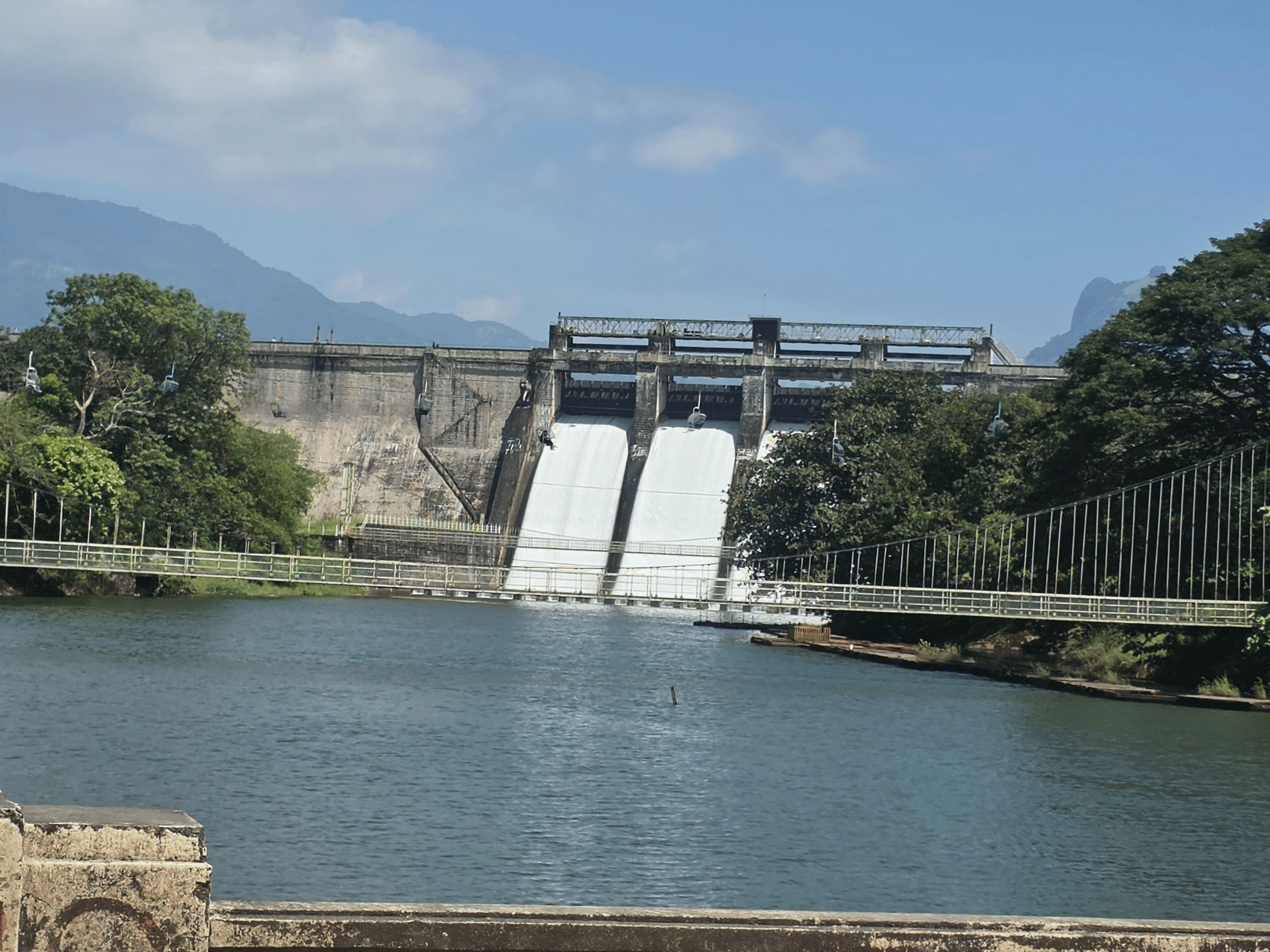 Untitled design (40)